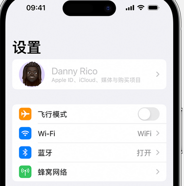 什玲镇appleID维修服务iPhone设置中Apple ID显示为灰色无法使用 