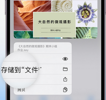 什玲镇apple维修中心分享iPhone文件应用中存储和找到下载文件