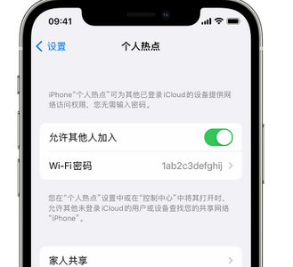 什玲镇apple服务站点分享iPhone上个人热点丢失了怎么办 