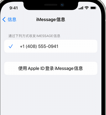 什玲镇apple维修iPhone上无法正常发送iMessage信息 