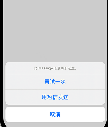 什玲镇apple维修iPhone上无法正常发送iMessage信息