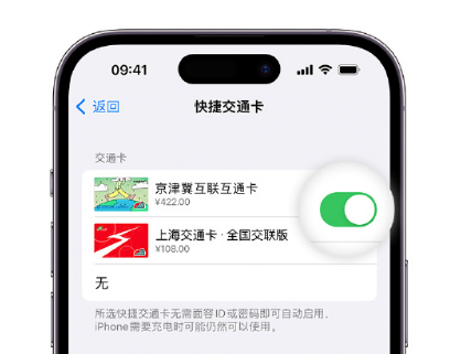 什玲镇apple维修点分享iPhone上更换Apple Pay快捷交通卡手绘卡面 