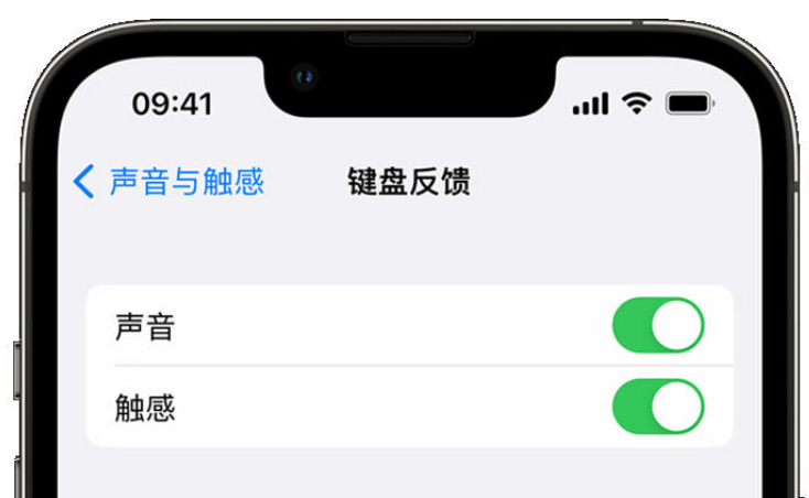 什玲镇苹果手机维修分享iPhone 14触感键盘使用方法 