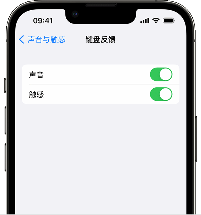 什玲镇苹果14维修店分享如何在 iPhone 14 机型中使用触感键盘 