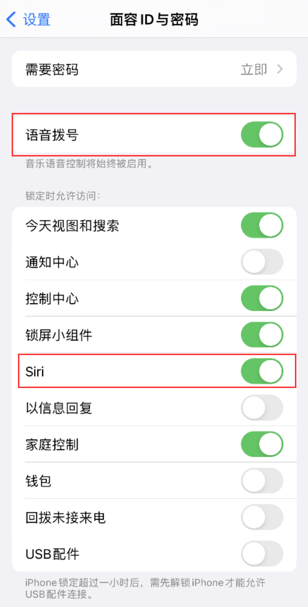 什玲镇苹果维修网点分享不解锁 iPhone 的情况下通过 Siri 拨打电话的方法 