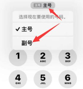 什玲镇苹果14维修店分享iPhone 14 Pro Max使用副卡打电话的方法 