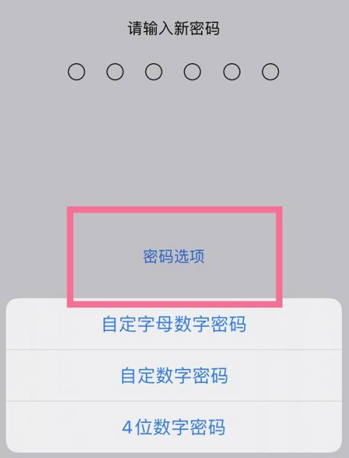 什玲镇苹果14维修分享iPhone 14plus设置密码的方法 