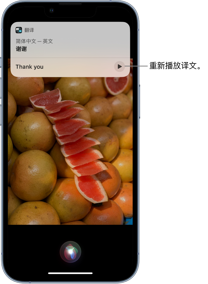 什玲镇苹果14维修分享 iPhone 14 机型中使用 Siri：了解 Siri 能帮你做什么 