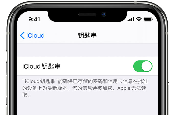 什玲镇苹果手机维修分享在 iPhone 上开启 iCloud 钥匙串之后会储存哪些信息 