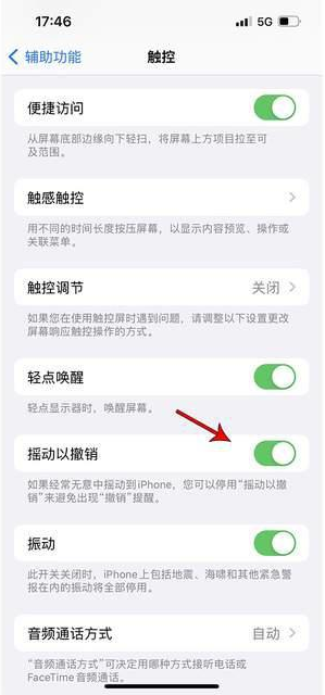 什玲镇苹果手机维修分享iPhone手机如何设置摇一摇删除文字 